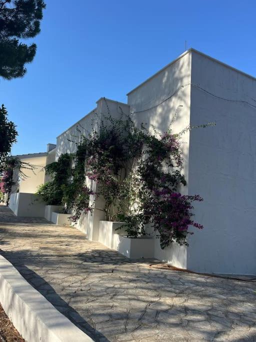 Villa Bouganville 2 Ostuni Extérieur photo