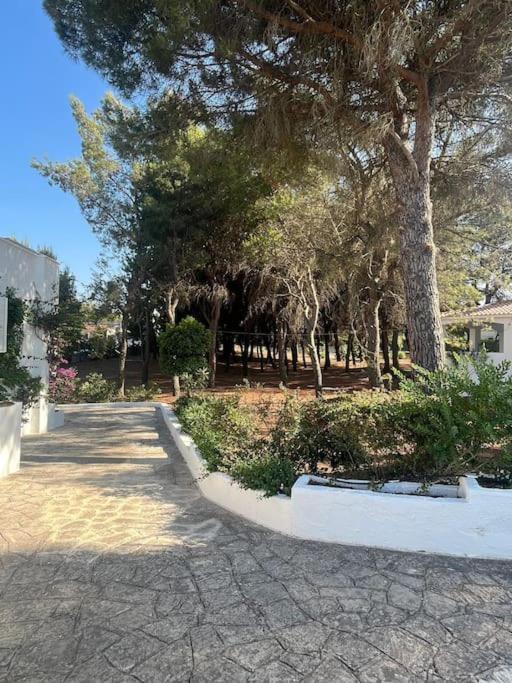 Villa Bouganville 2 Ostuni Extérieur photo